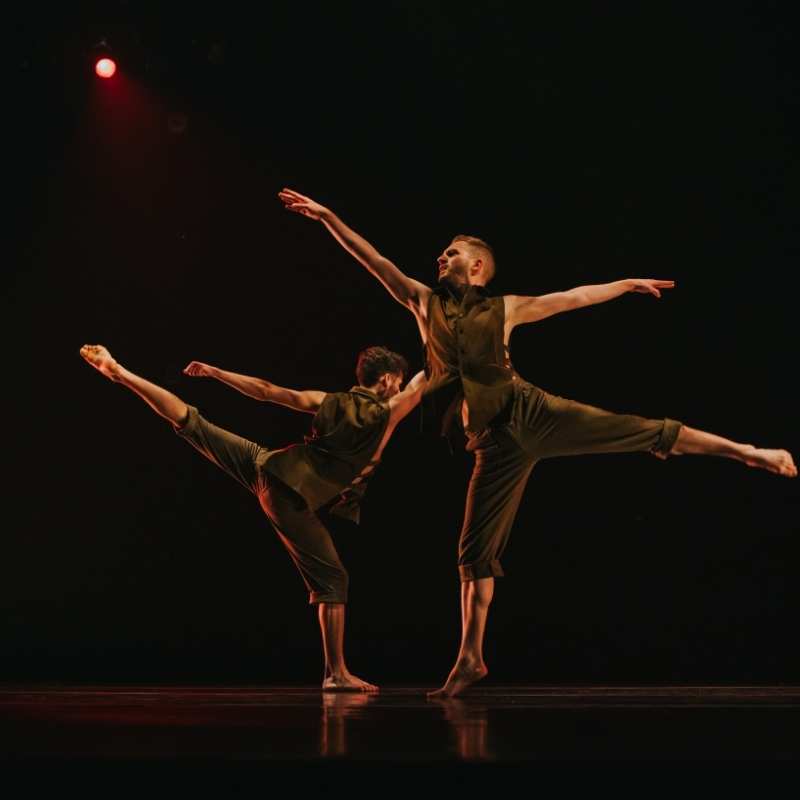 citydance-summer-intensives-koresh-dance-company